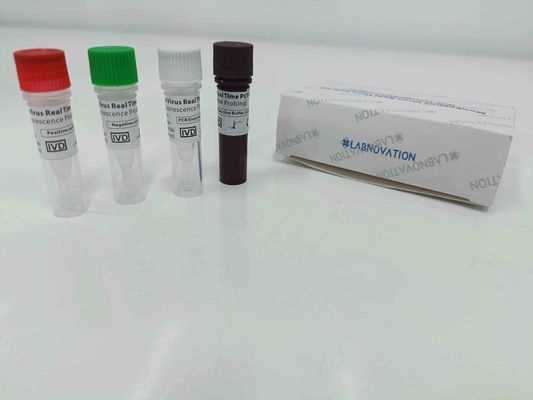 qualità  Real Time Monkeypox PCR Test Kit With Positive / Negative Control fabbrica