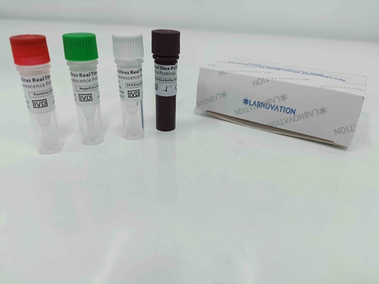 Prova in tempo reale Kit With Positive/controllo negativo di PCR di Monkeypox